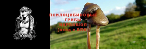 стафф Вязники