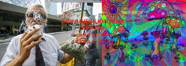 ешки Вязьма