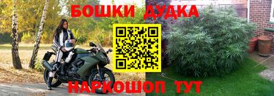 дживик Кингисепп