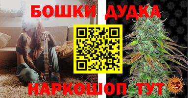 дживик Кингисепп