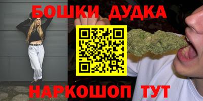 дживик Кингисепп