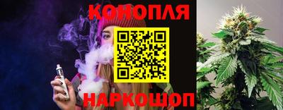 дживик Кингисепп