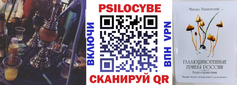 мега   Конаково  Псилоцибиновые грибы мицелий 