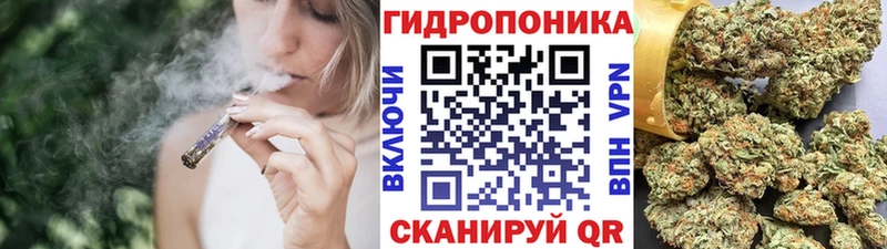 Бошки Шишки планчик Конаково